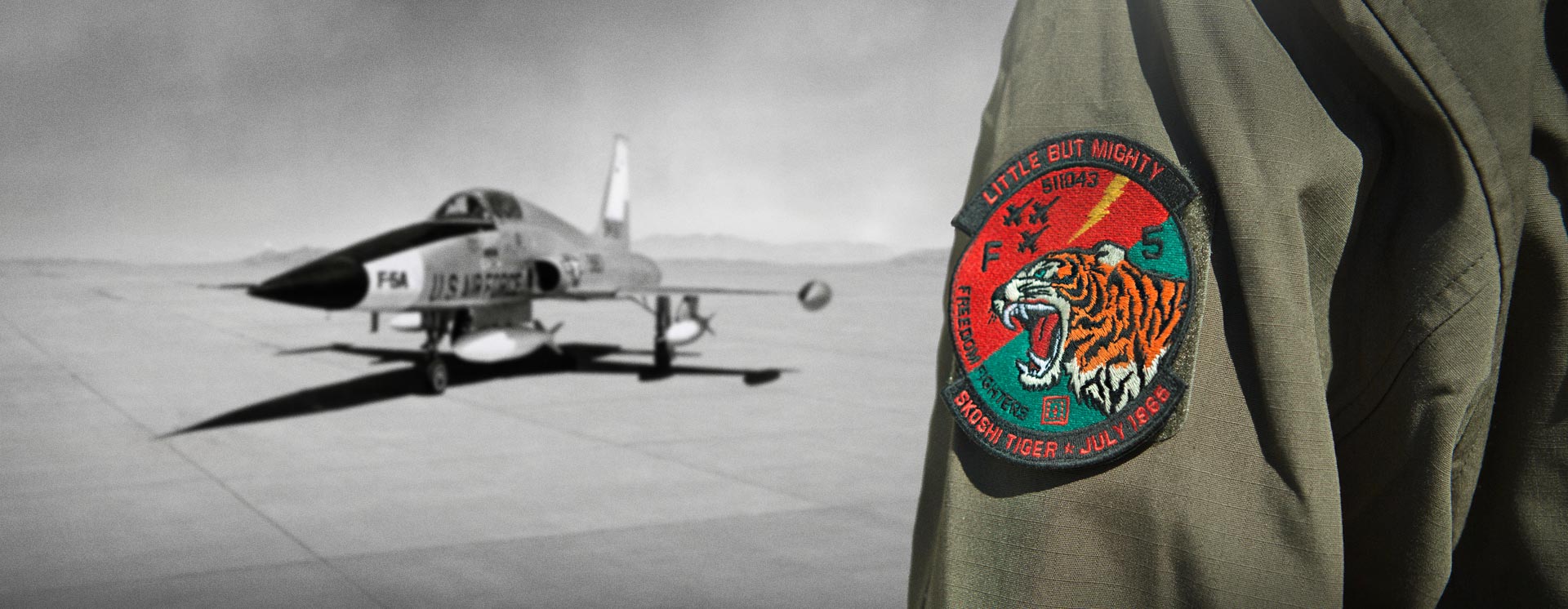 patch of the month
