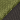 Mantis Green / Dark Oak (193)