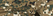 Digi Woodland (175)